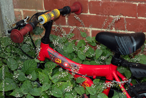 Fotografi discarded abandoned childrens kids little bike being overgrown by weeds