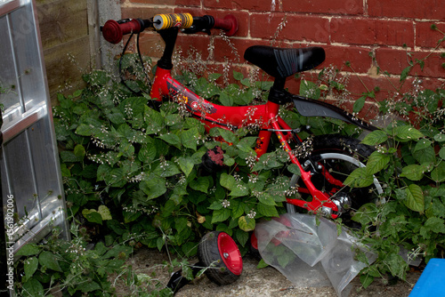 Slika na platnu discarded abandoned childrens kids little bike being overgrown by weeds