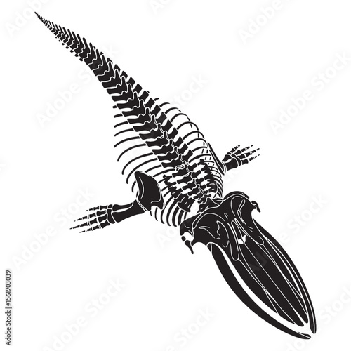 The echo of ocean titans – Blue whale skeleton silhouette transformed into stylized Blue whale skeleton vector – Blue whale skeleton illustration

