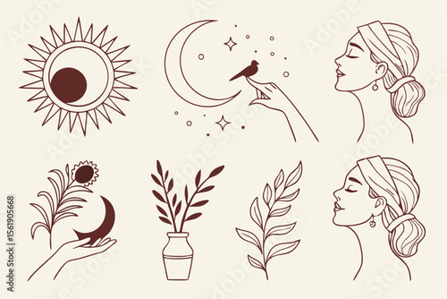 Bohemian celestial and feminine line art collection with sun moon and plants