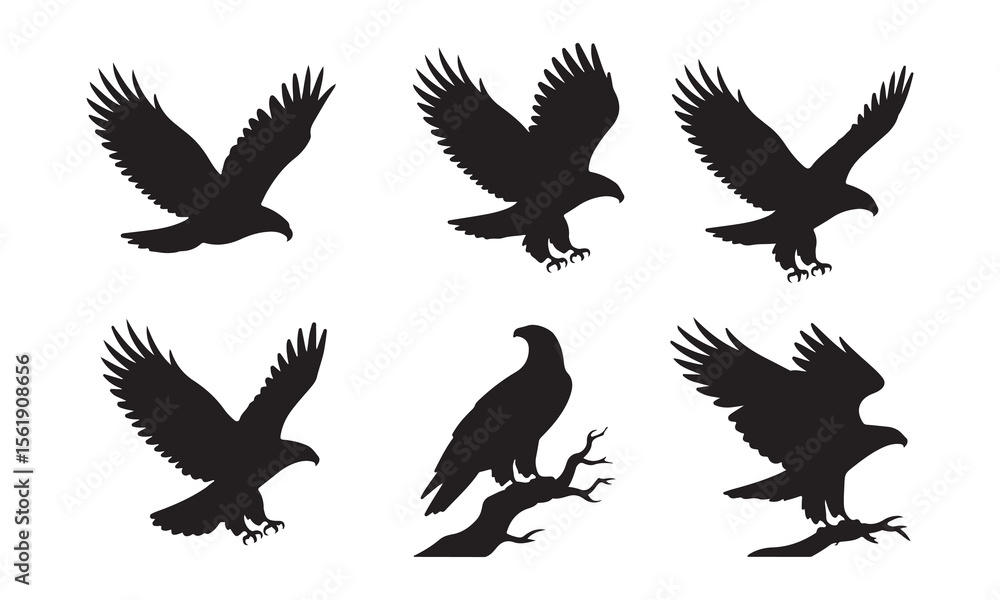 Fototapeta premium Collection of six distinct eagle silhouettes in various dynamic poses and perching on a branch