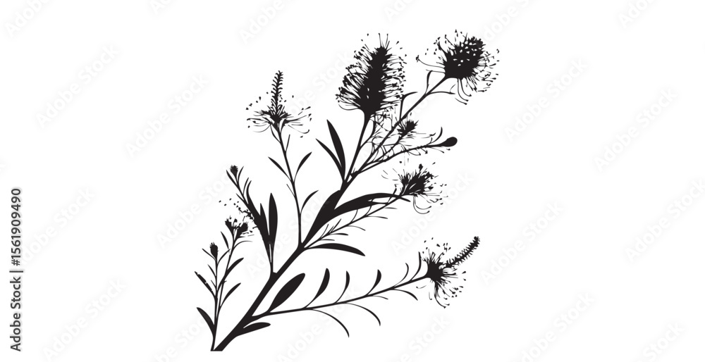 Naklejka premium Delicate black and white silhouette of grevillea flowers and leaves