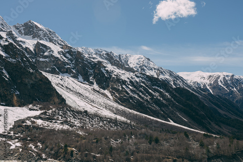 view of the mountains from the foot. There is snow on the mountaintop. There are spruces on the slope.