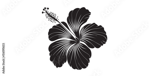Elegant black hibiscus flower with delicate line art detail silhouette