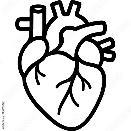 Human heart anatomical outline icon vector