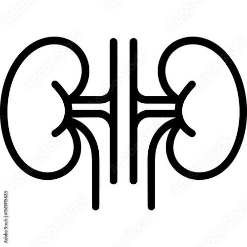 Human kidneys outline icon vector