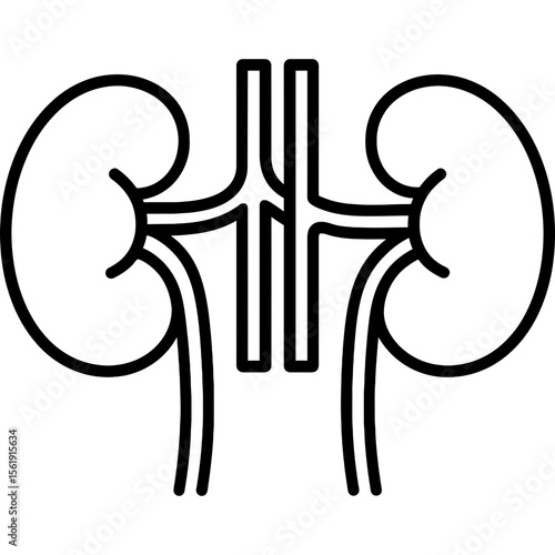 Human kidneys outline icon vector