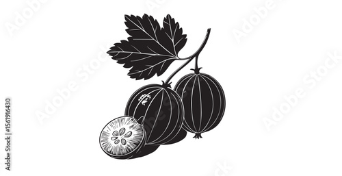 Black silhouette of ripe gooseberries with a leaf and a sliced berry