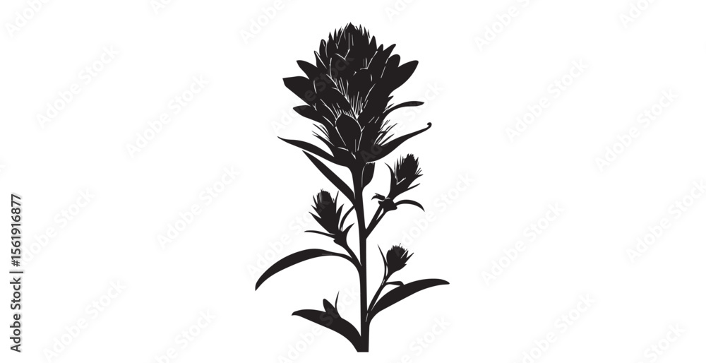 Naklejka premium Detailed black silhouette of a blooming wildflower with multiple buds on a white background