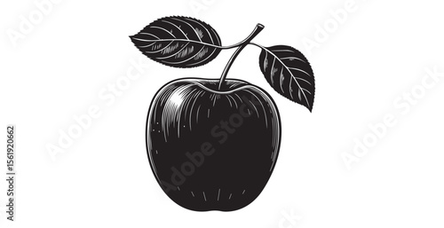 Vintage engraved apple with two leaves silhouette