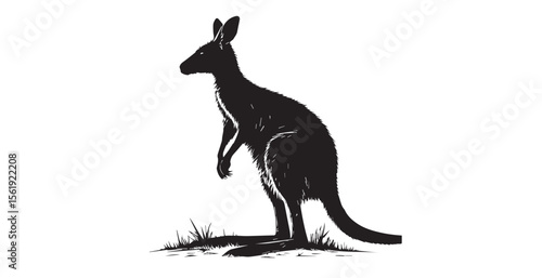 Detailed black and white illustration of a kangaroo standing in grass silhouette
