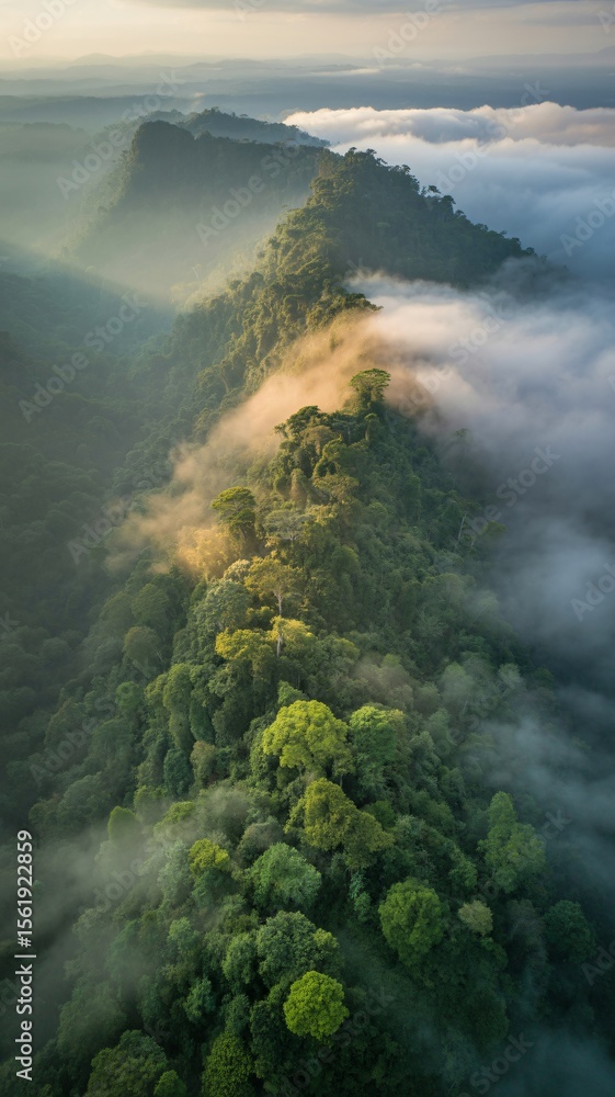 Fototapeta premium Misty Mountains Embrace Lush Tropical Rainforest Peaks at Sunrise