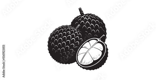 Two whole lychees and one half lychee with detailed texture silhouette