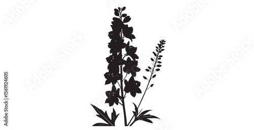 Elegant black delphinium flower silhouette on a white background