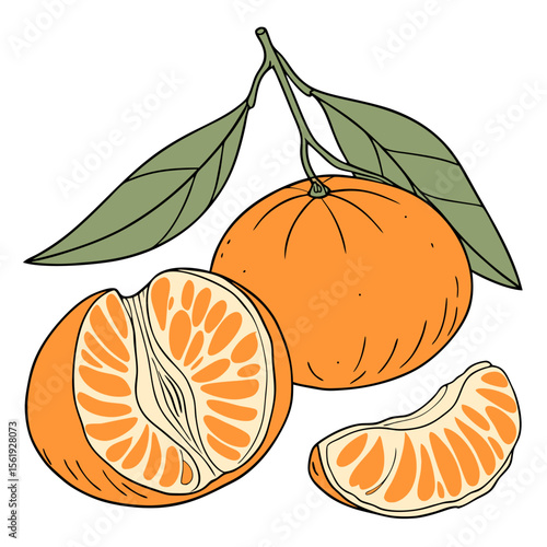 fairchild tangerine with leaves