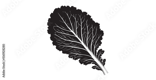 Detailed black and white silhouette of a kale leaf with prominent veins