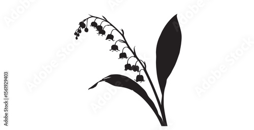 Lily of the valley flowers and leaves in dramatic black and white silhouette