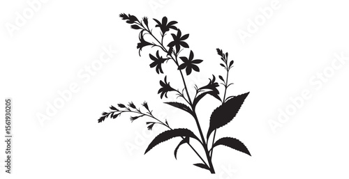 Elegant black silhouette of a flowering plant with delicate petals and leaves