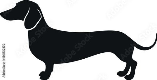 Dachshund dog silhouette illustration