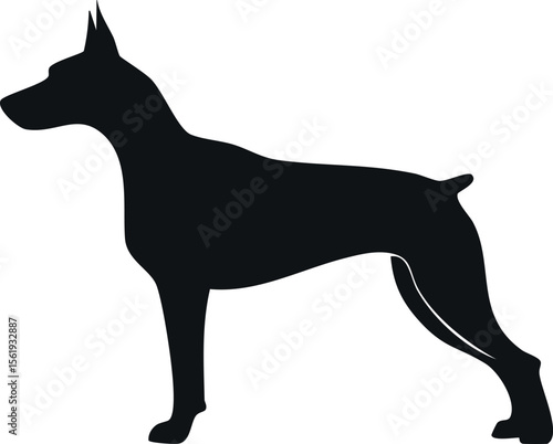 Dobermann dog silhouette illustration