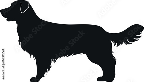 Golden retriever dog silhouette illustration