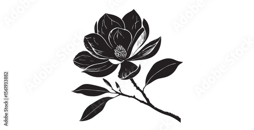 Elegant magnolia flower and leaves in detailed black and white silhouette