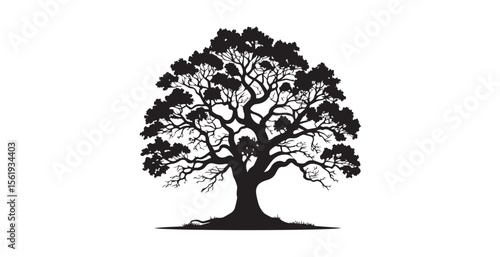 Majestic ancient oak tree with intricate branches and dense foliage silhouette