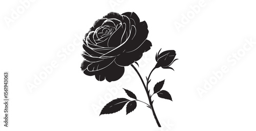 Elegant black rose and bud with detailed petals silhouette