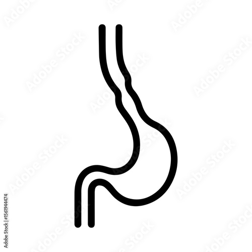 anatomical esophagus icon vector on white background
Human anatomical organ
