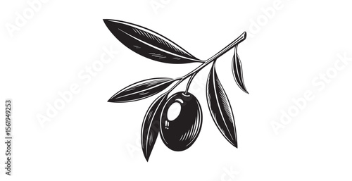 Stylized black and white olive branch with single fruit and leaves silhouette