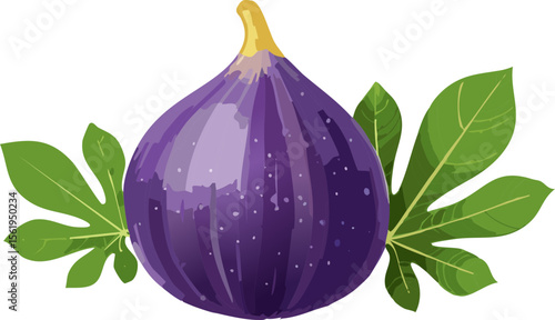 Whole Fig with Leaves – Vector Illustration of Fresh Purple Fruit