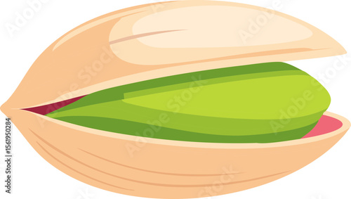 Open Pistachio Nut – Green Seed in Shell Vector Illustration