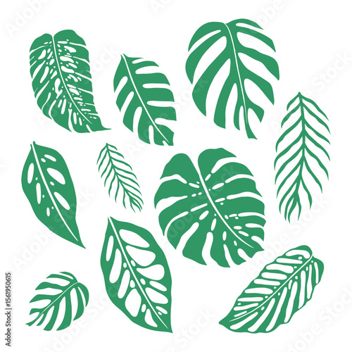 Collection of Monstera Deliciosa Leaves with Signature Holes and Splits, Illustrating Various Shapes and Sizes in Harmonious Green Tones on White Background, Detailed Tropical Foliage Art