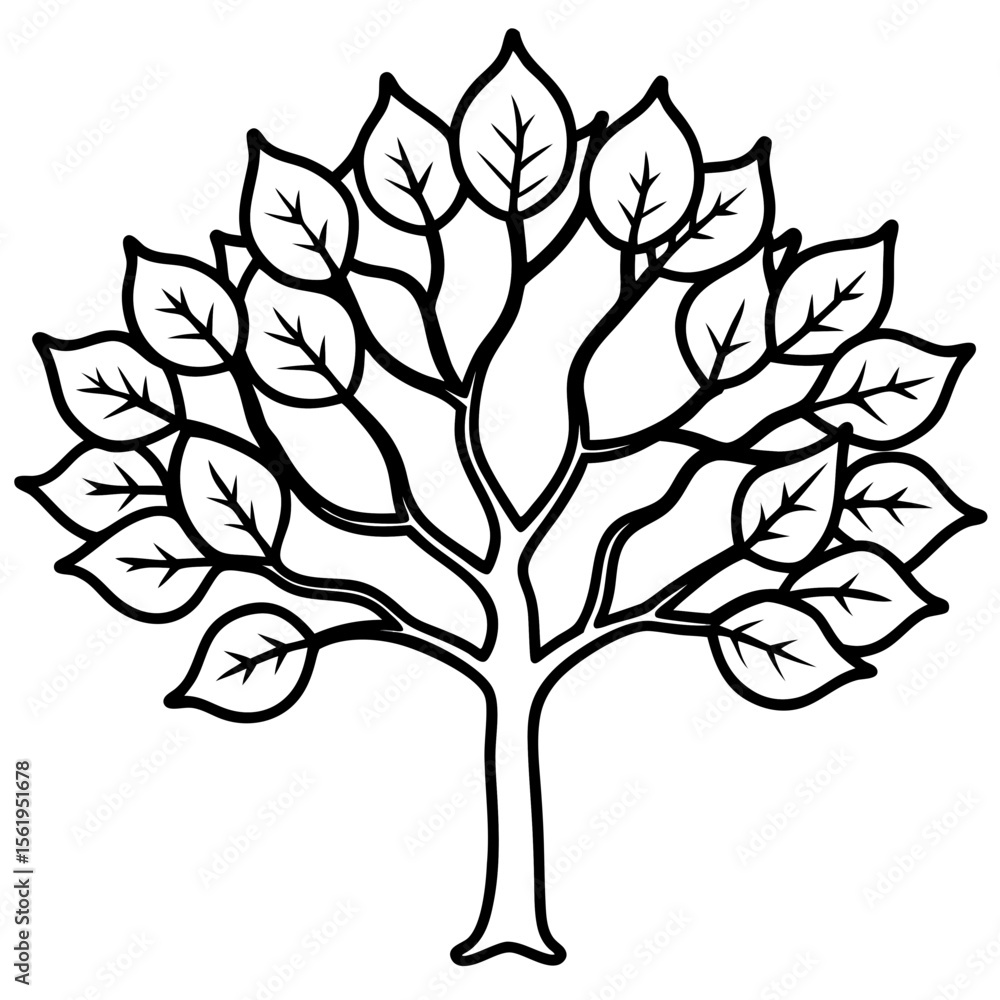 Obraz premium Fig Tree line art vector