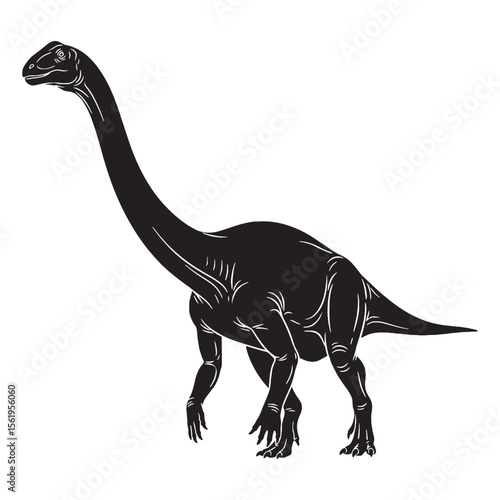 A slender figure from the Early Jurassic – Massospondylus silhouette in refined Massospondylus vector – Massospondylus illustration


