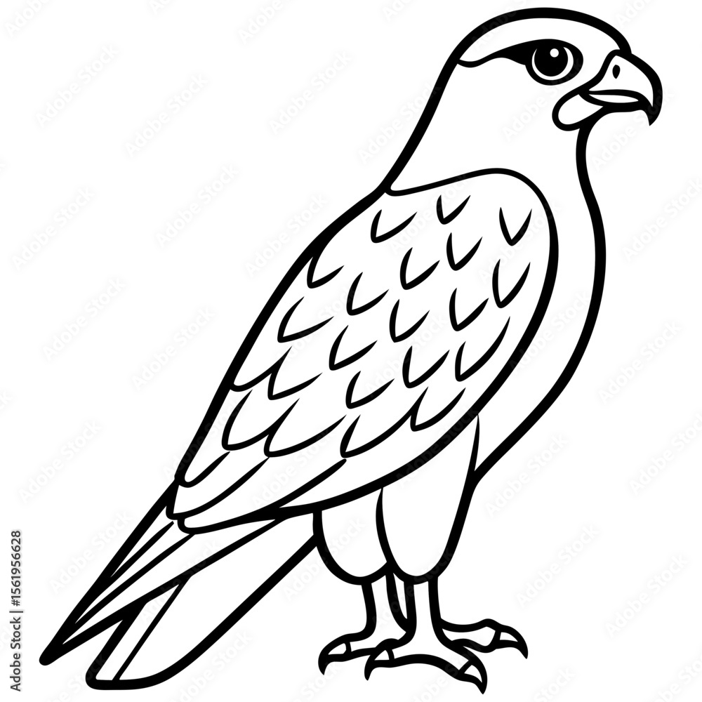 Fototapeta premium Hawk line art vector