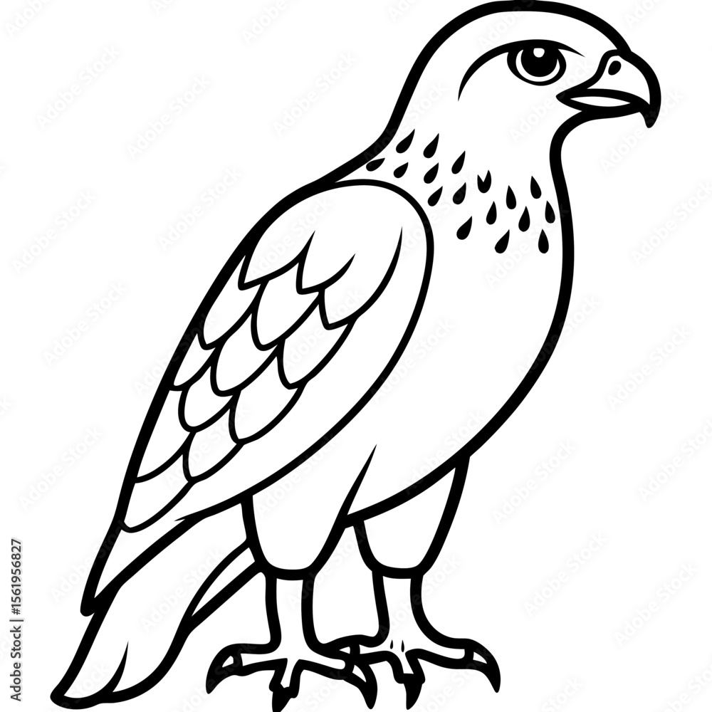 Fototapeta premium Hawk line art vector