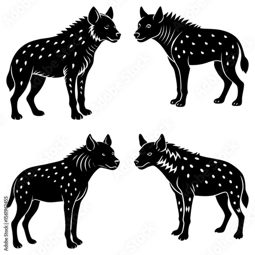 Four hyenas in black and white arranged symmetrically on a white background in a vector illustration