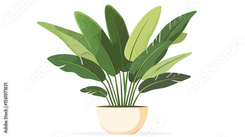 Vibrant Foliage House Plant with Green Leaves Growing - Botanical Interior Decor
