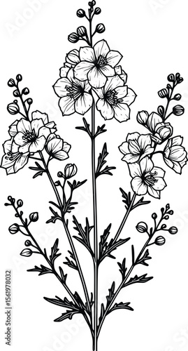 Delphinium flower silhouette vector illustration isolated on a white background