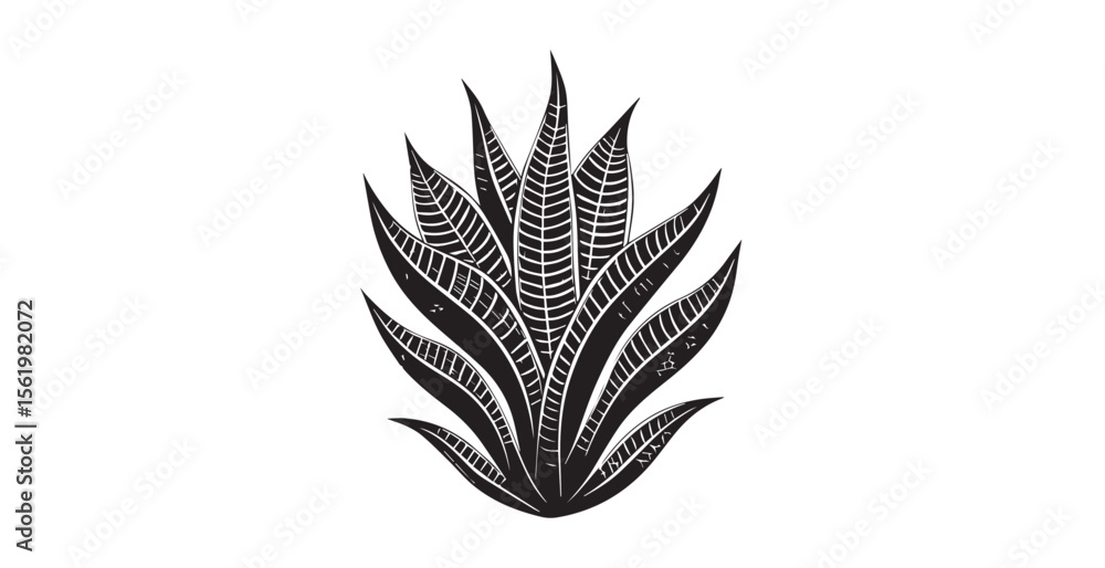 Detailed black and white illustration of a succulent plant silhouette Detailed black and white illustration of a succulent plant silhouette