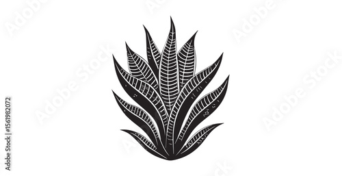 Detailed black and white illustration of a succulent plant silhouette