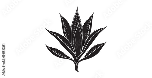 Detailed black and white aloe vera plant silhouette with sharp spiky leaves