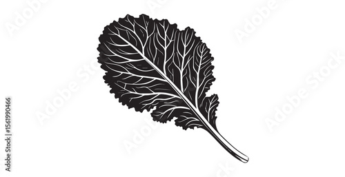 Detailed black and white illustration of a single kale leaf silhouette