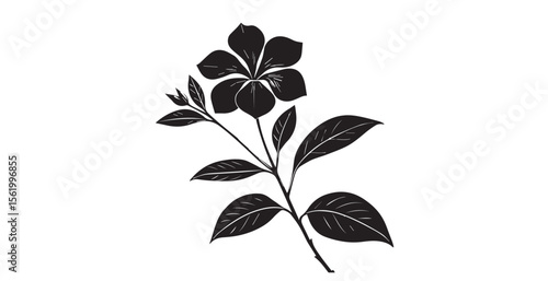 Elegant black and white stylized flower and leaves silhouette