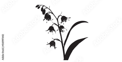Delicate bell shaped flowers on a stem in striking black and white silhouette