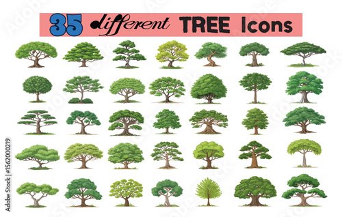 A captivating collection of 35 distinct tree icons, each meticulously designed to reflect the diverse beauty and variety of nature’s trees — perfect for enhancing any creative design project.