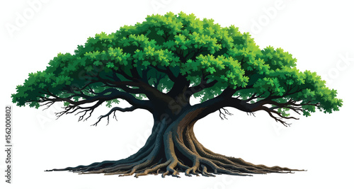 Realistic Tree Illustration - A Majestic Old Tree Spreads Its Branches Wide. Eco-Friendly Design Elements.