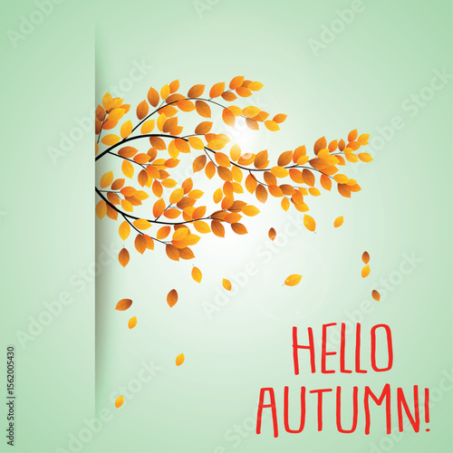 Crisp, Colorful Autumn Moments Captured