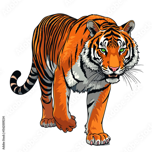 cartoon tiger vector illustration